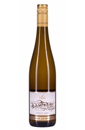 Pinot Gris, D.S.C. 2023