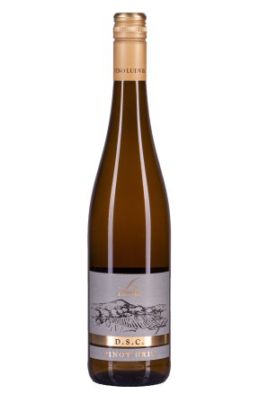 Pinot Gris, D.S.C. 2021