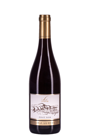 PINOT NOIR 2018
