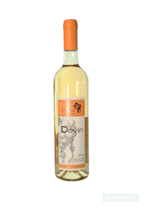 Devín 2023