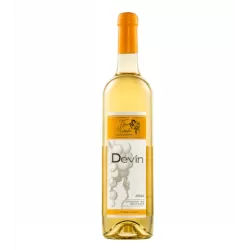 Devín 2022