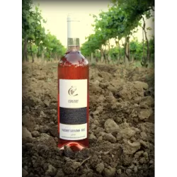 Cabernet Sauvignon - Rosé