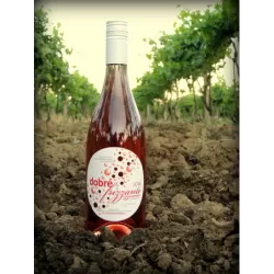 Frizzante Svätovavrinecké Rosé 